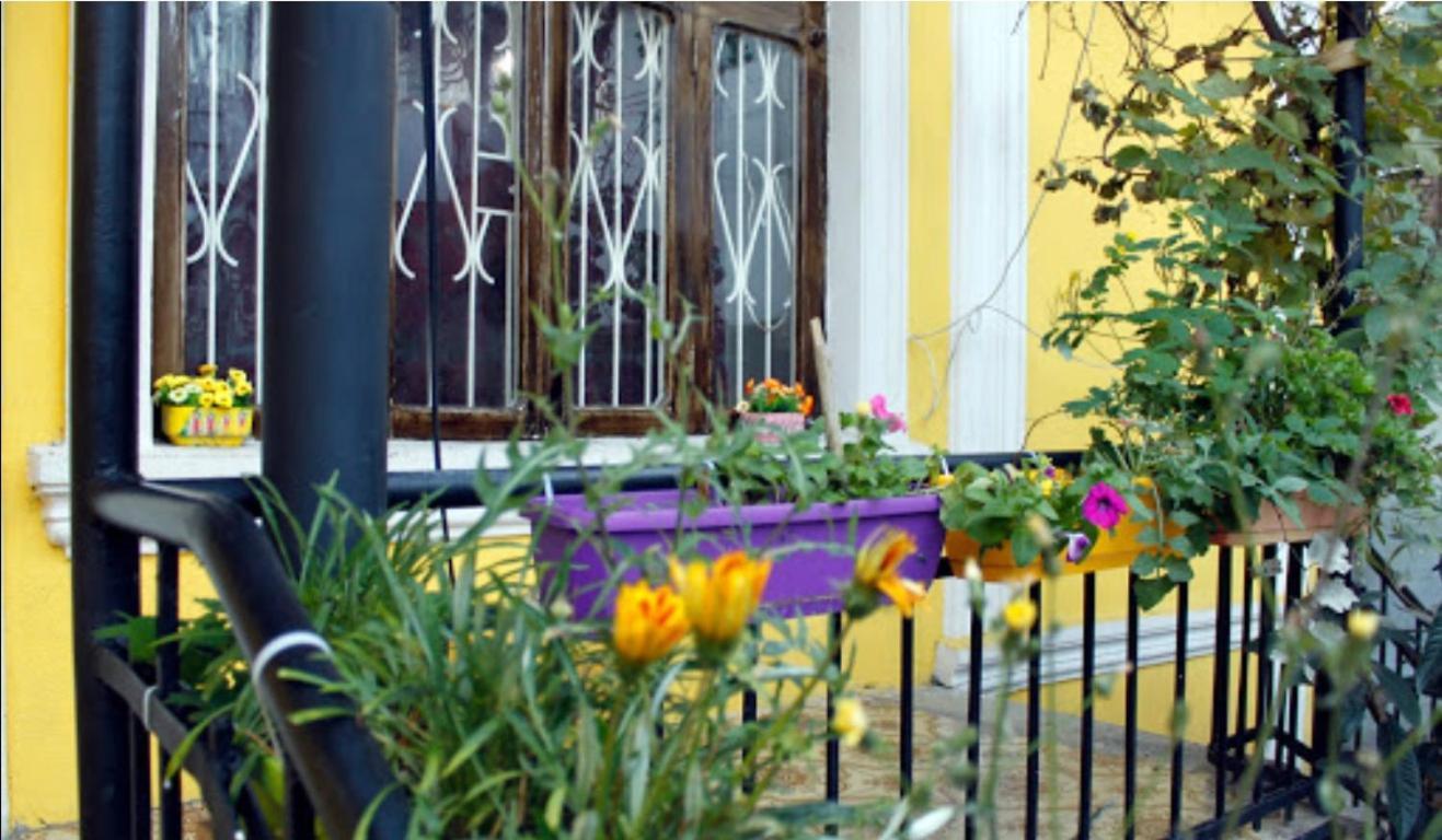 Colors Hostel Tiflis Dış mekan fotoğraf