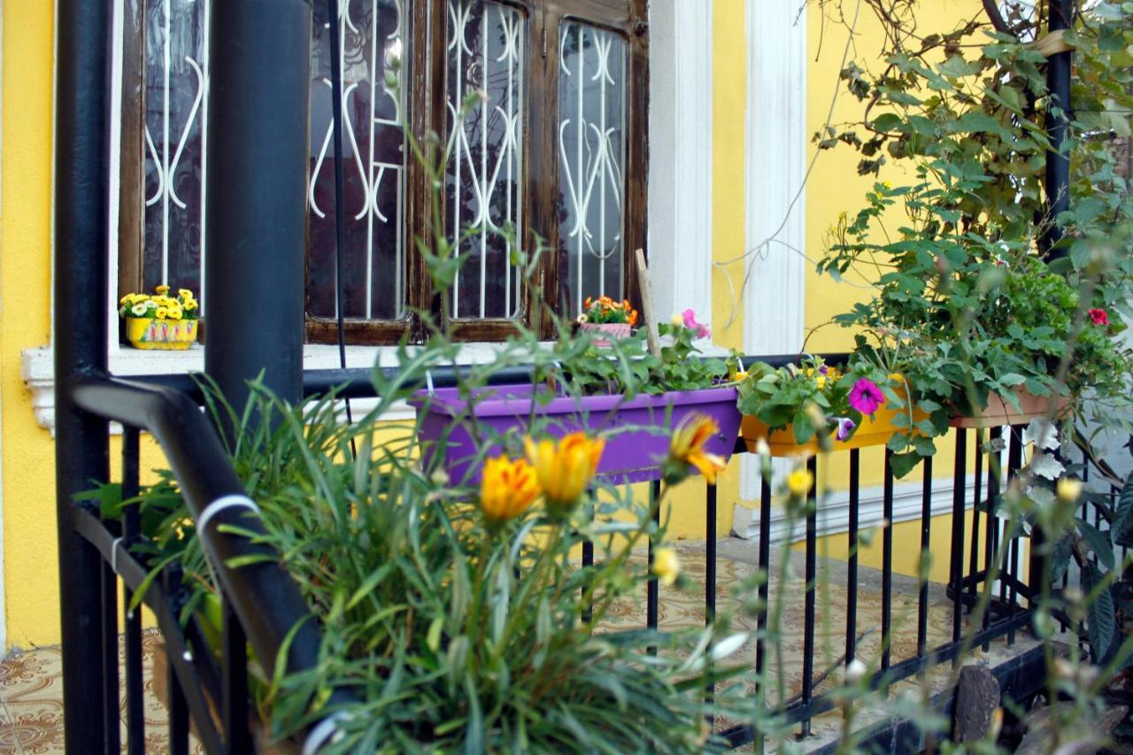 Colors Hostel Tiflis Dış mekan fotoğraf